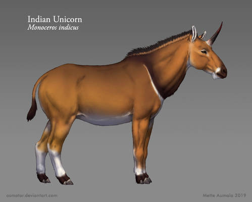 Starstruck: Indian Unicorn