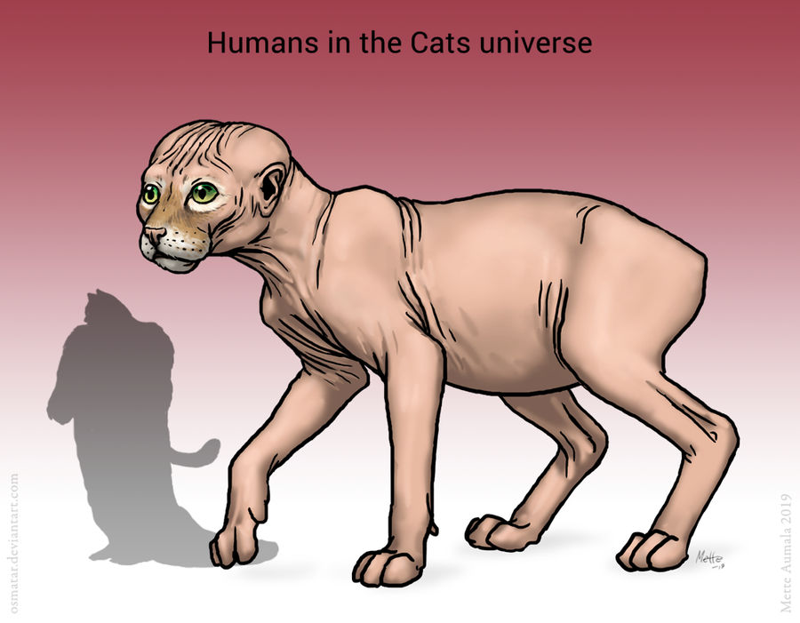 Catamount Human Form Humans of the Cats universe by Osmatar on DeviantArt