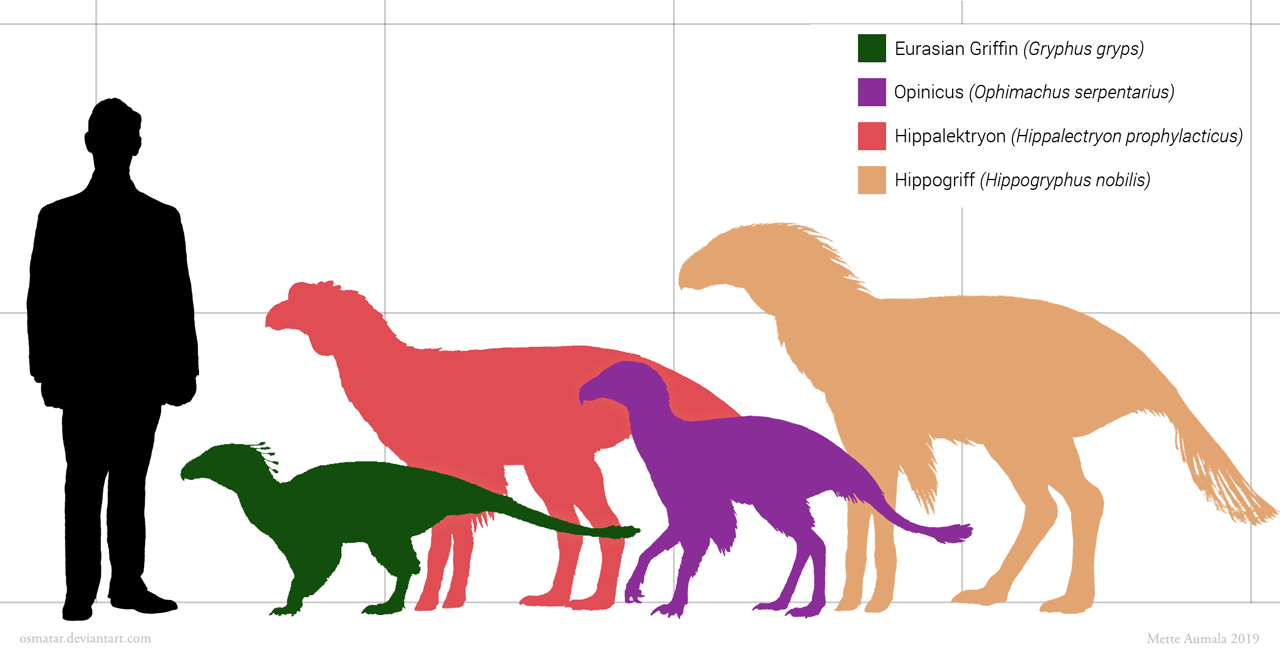 Starstruck Griffin Size Comparison By Osmatar On DeviantArt starstruck-griffin-size-comparison-by-osmatar-on-deviantart