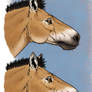 Carnivorous Horse