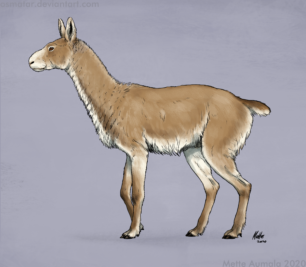 Commn Rabbuck Spectember: Arctic rabbuck by Osmatar on DeviantArt