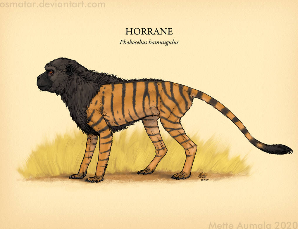 After Man Raboon Spectember: Horrane by Osmatar on DeviantArt