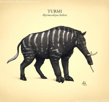 Spectember: Turmi