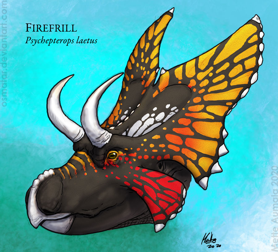 Firefrill by Osmatar on DeviantArt