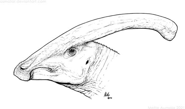 Parasaurolophus