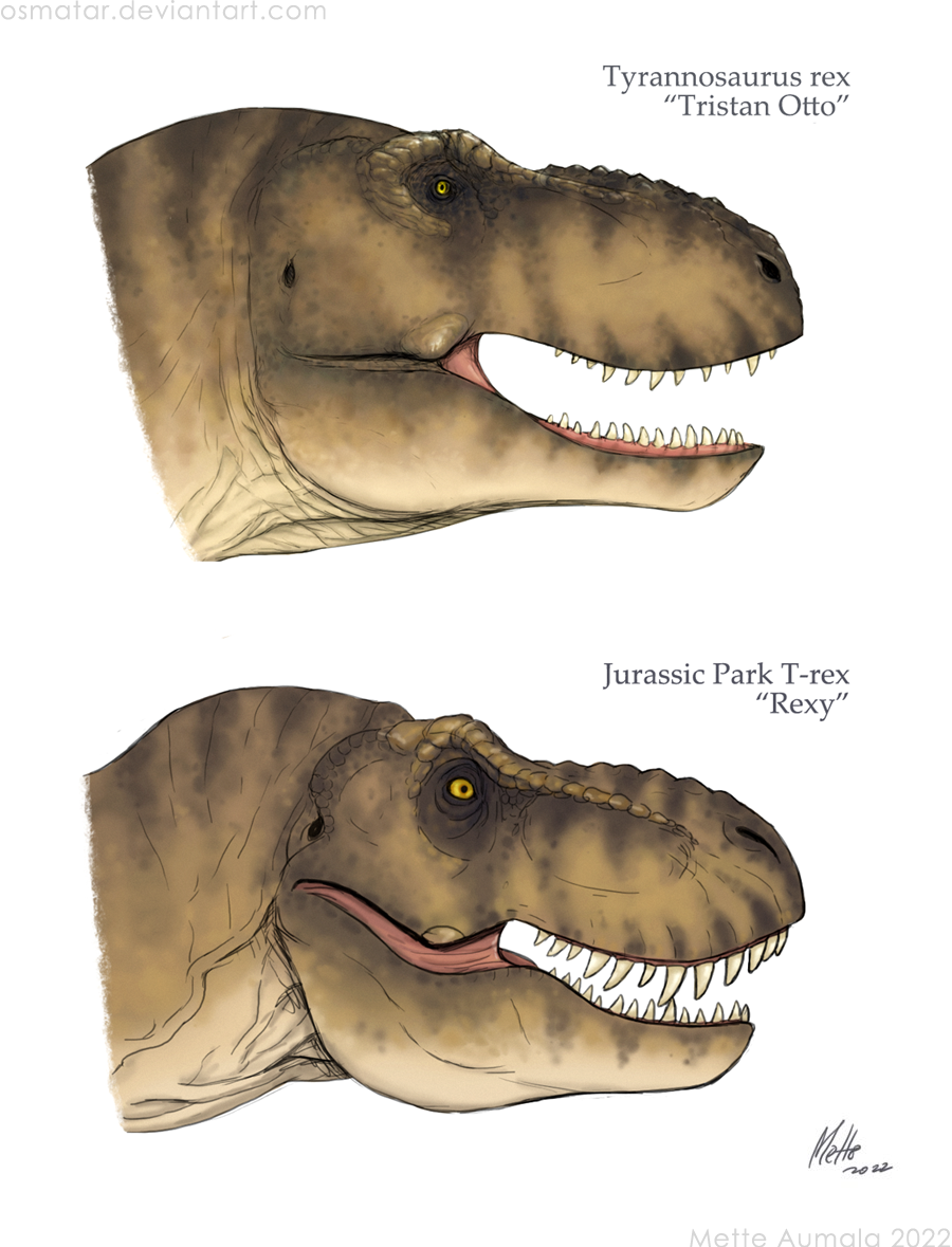 Dinosaurs T Rex Vs T Rex