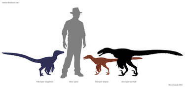 The Real Sizes of JW Raptor Dinosaurs
