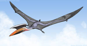 Sharovipterosaurs II: The Arsedachid