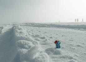 Rainbow Dash at Langjokull