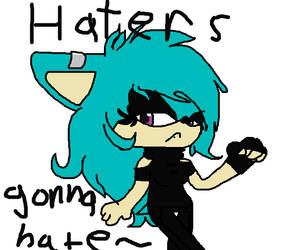 Haters Gonna Hate