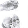 hand and skull