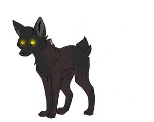 Wolf Adopt  [CLOSED]