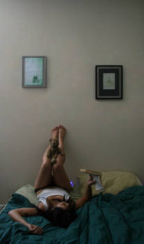 ari and bear - reading