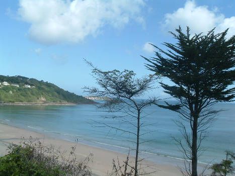 Cornish sands