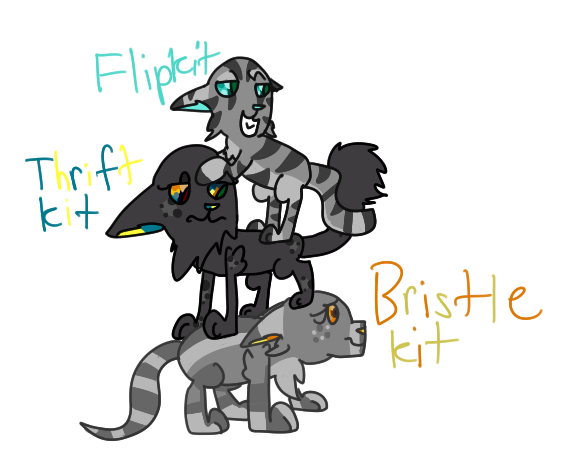 Ivypool's Kits by Radic00l on DeviantArt