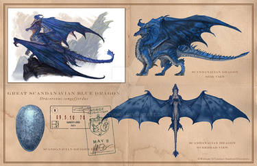Scandavian Blue Dragon