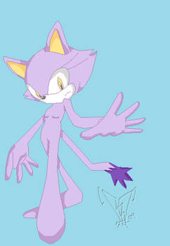 Blaze the cat base