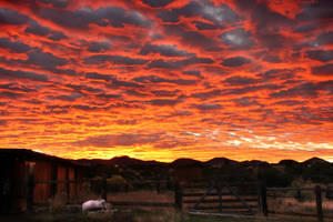 Santa Fe Sunrise