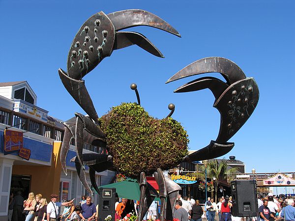 City Crab