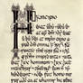 Book of Armagh insular's calligraphy