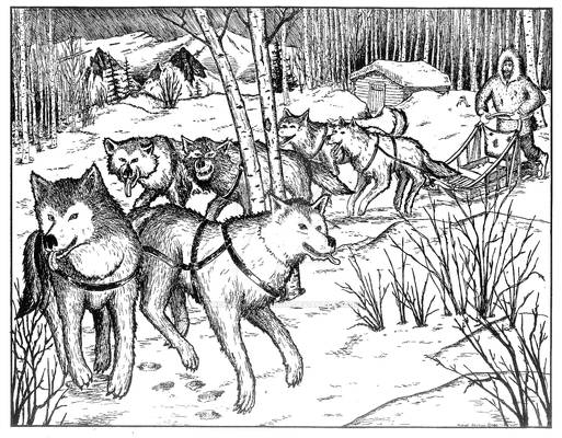 Dog Sled Team