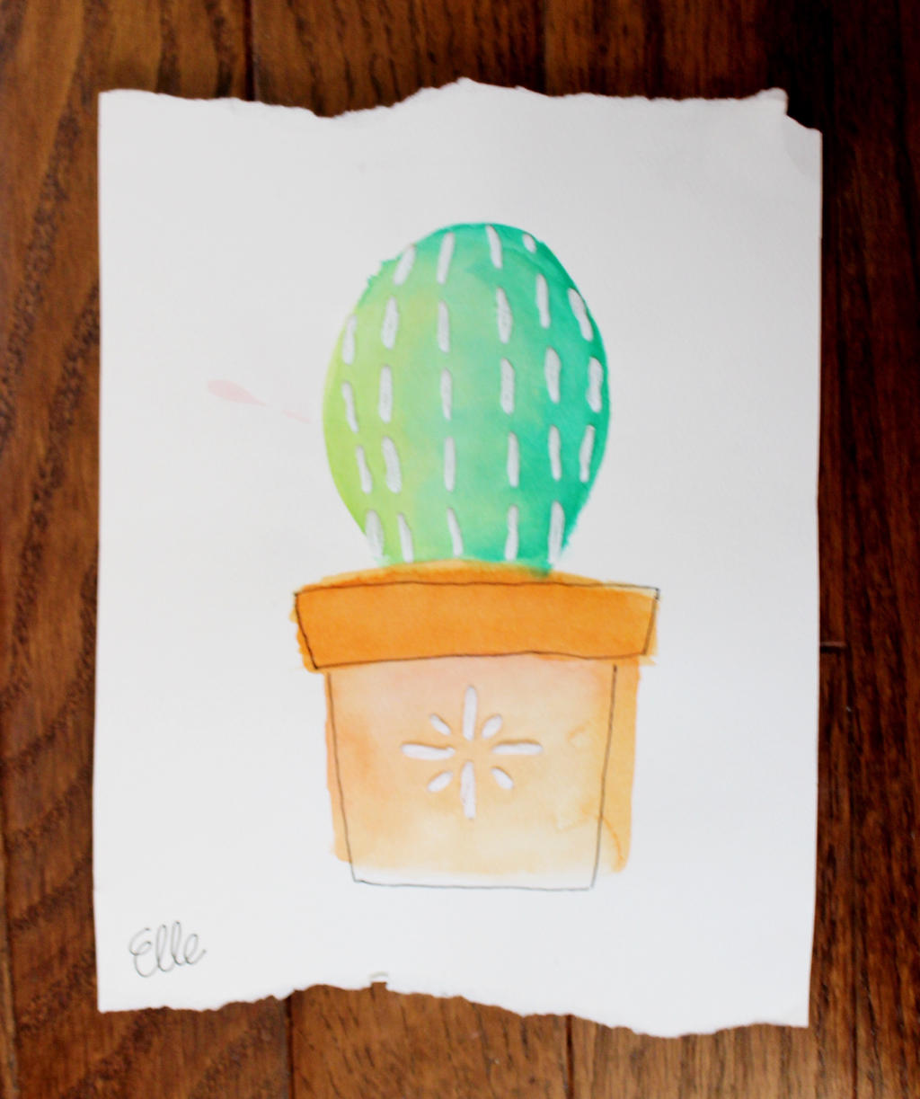 Lil Barrel Cactus