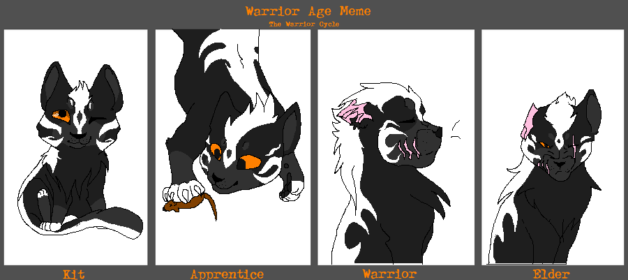 Badgerstripe- Warrior Age Meme