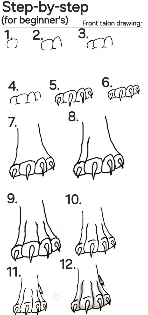 Talons Pattern Step-by-step Talon drawing. (for beginners) by OrbitTheAllwing on ...