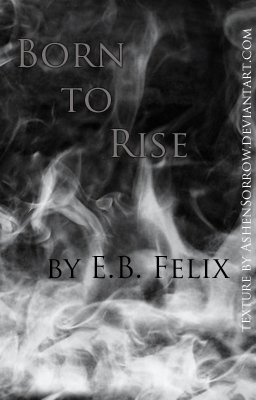 Born to Rise Book Cover