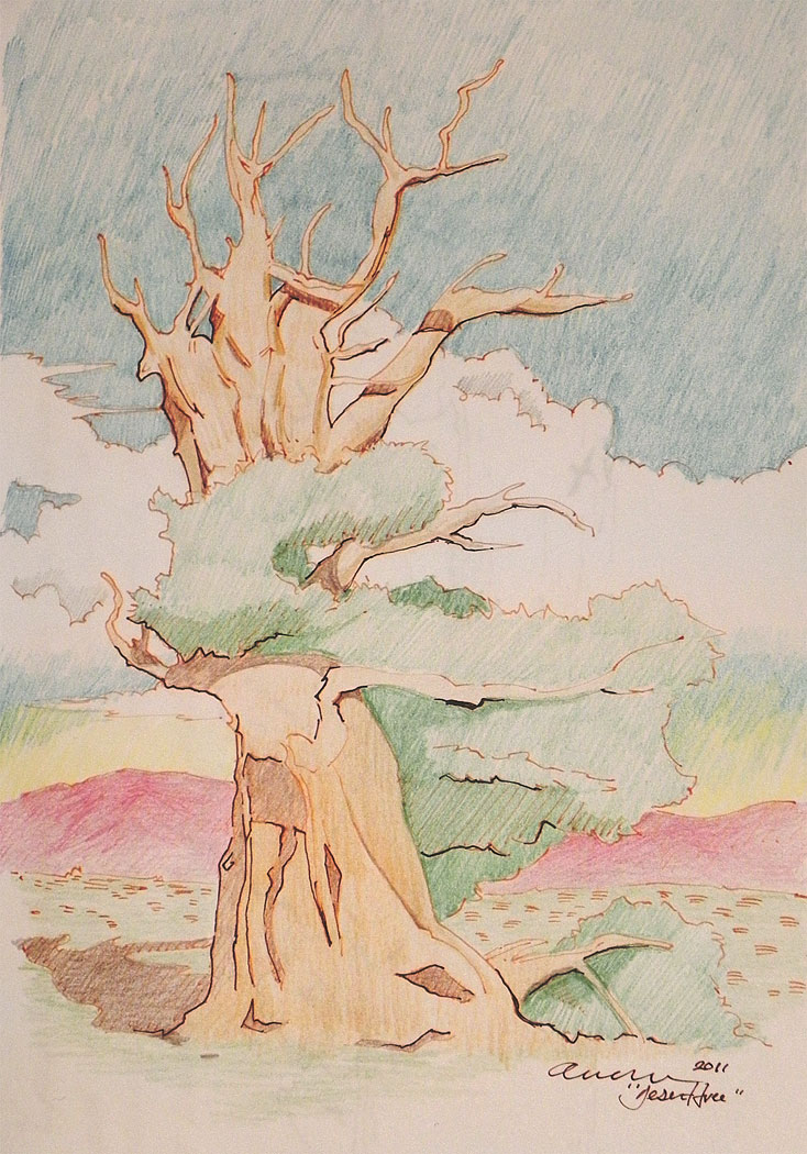 Desert Tree in Red Ink and Color Pencil