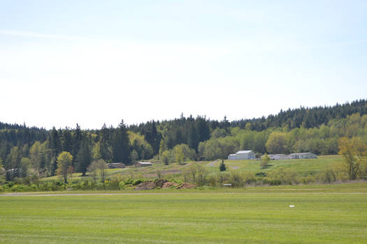 Fields and trees