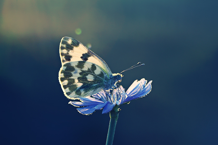 clours and light