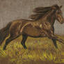 horse 2