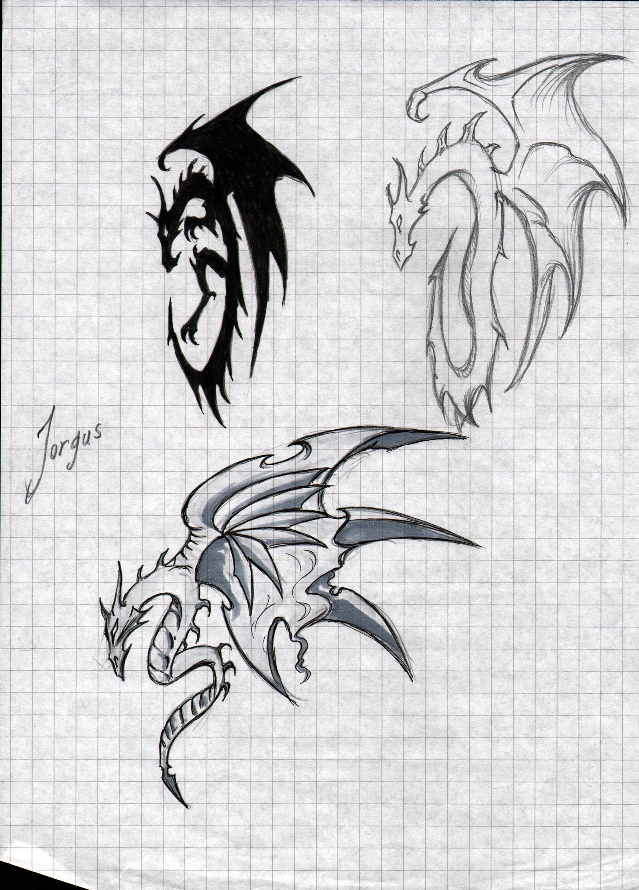 Dragon Tattoo Sketches 01