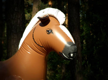 Smiling Inflatable Horse