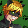 Chat Noir (redraw)