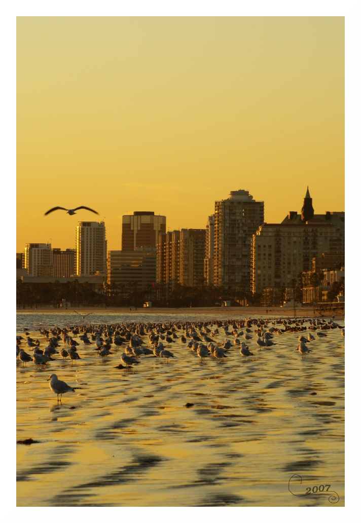 Long Beach Skyline Sunset I