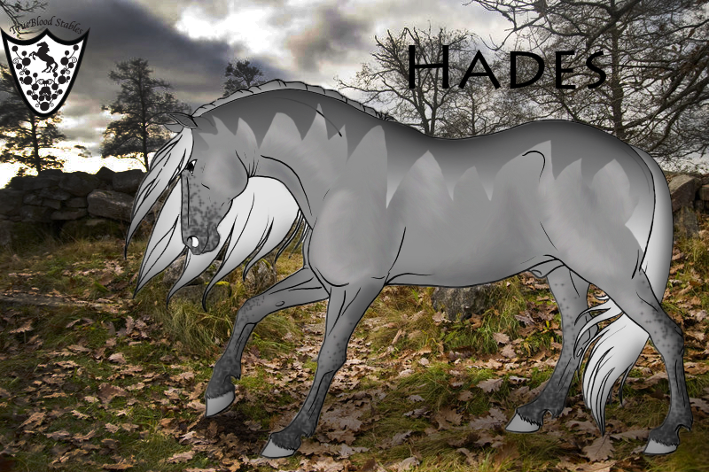 Hades- horse