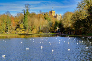 Calmness and tranquillity by the lake.