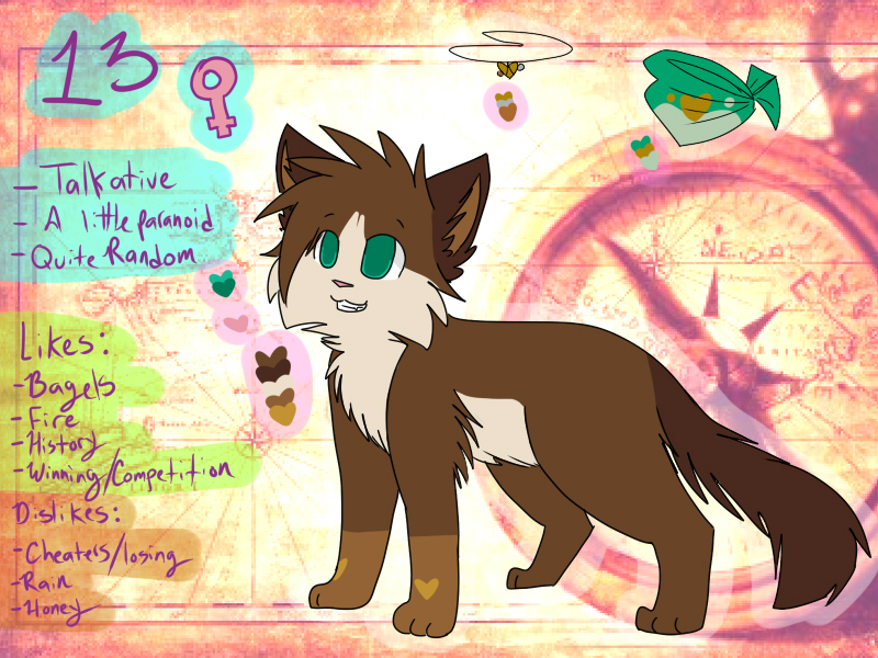 2013 13 Ref Sheet