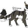 Hawkfrost