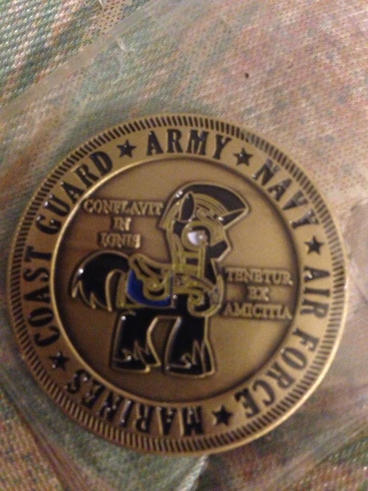 Challenge Coin Back