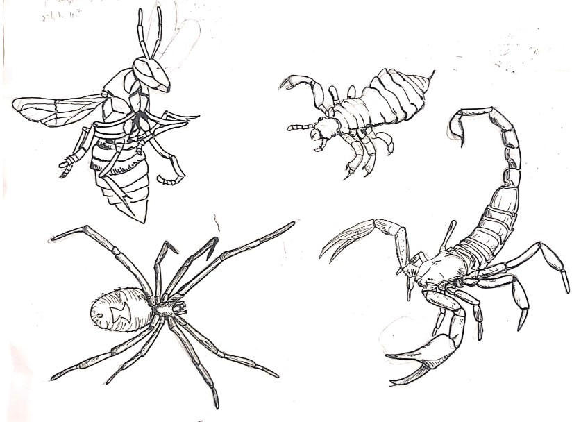 Bugs Sketch 1 - 12/21 by gabalbcos on DeviantArt