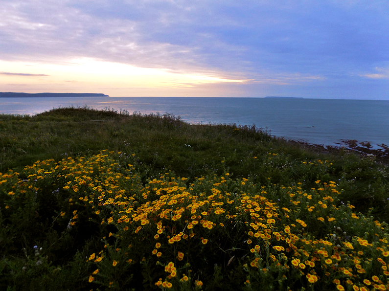 Seaside Sunset