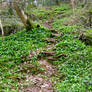 natures stairway to heaven