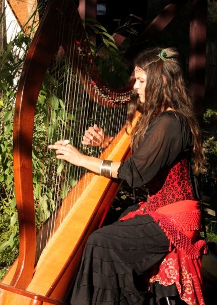 Harpist