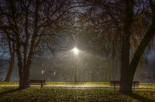 Fog at the Schwanenteich, Zwickau, Germany