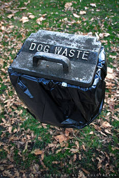 Dog Waste