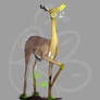 Gerenuk Experiment