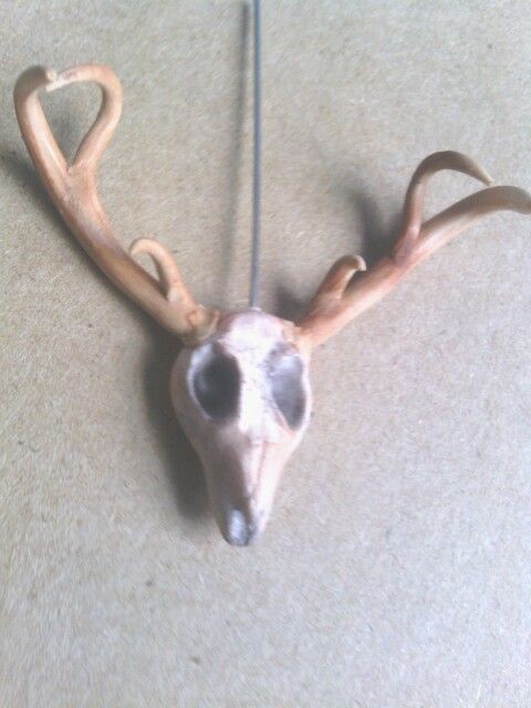 Deer Skull with Antlers